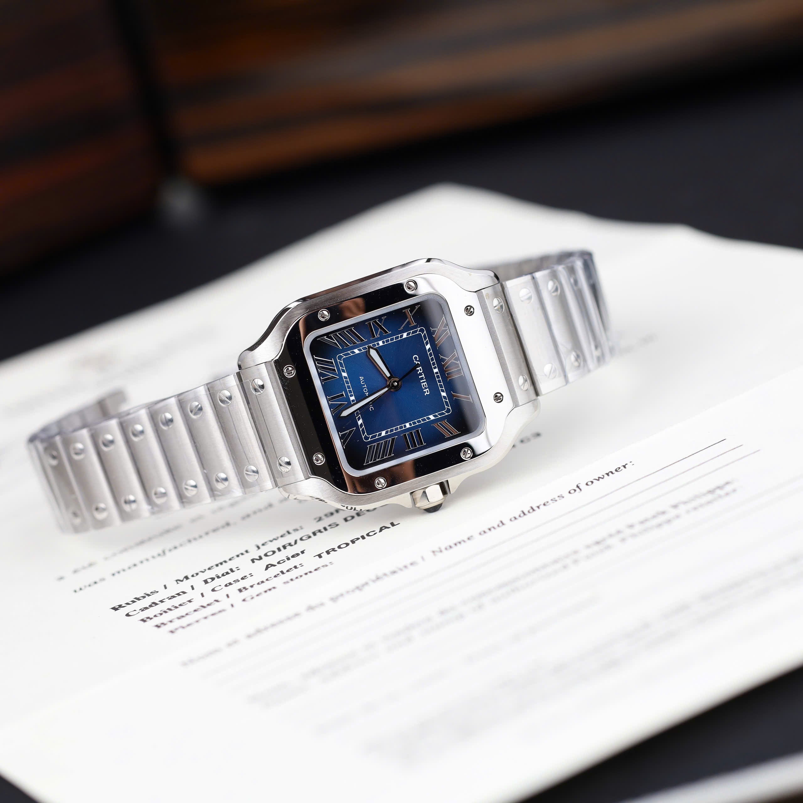 CARTIER SANTOS DE 35 MM - Montre Cartier - Femme - VEM724